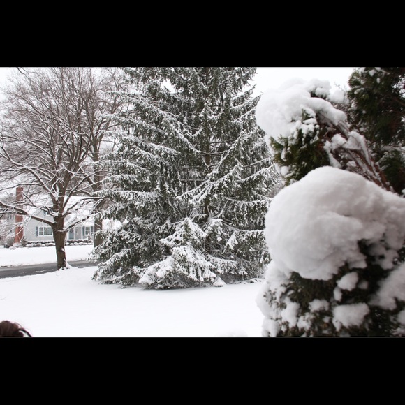 Meet your Posher, Fusun - Picture 1 of 1